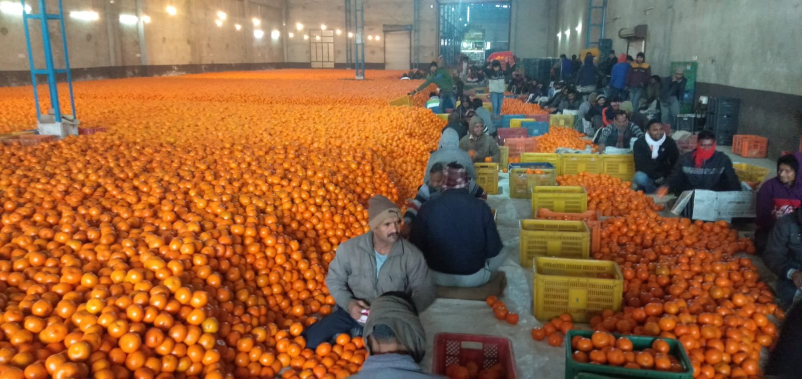 Pack house facility